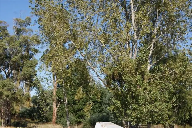 Sixth view of Homely land listing, 125 Alport Street, Kimberley TAS 7304