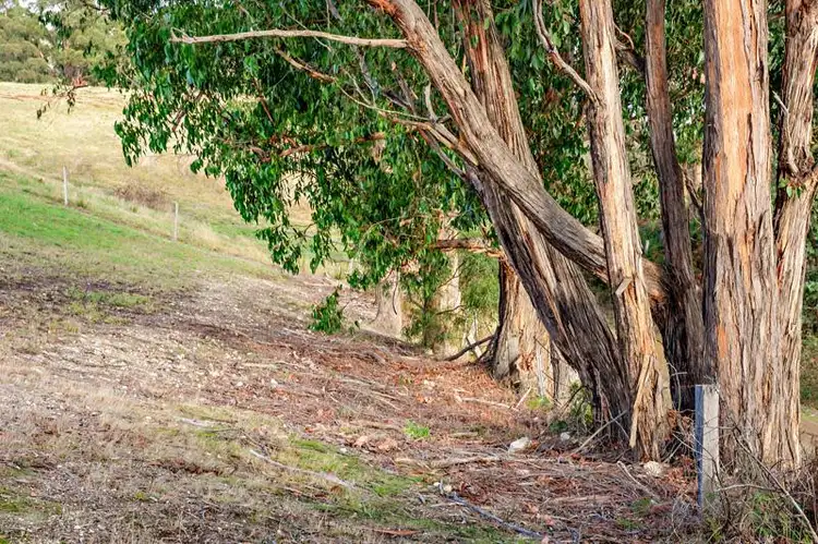 Third view of Homely land listing, Lot/12 Conlans North Road, Huonville TAS 7109