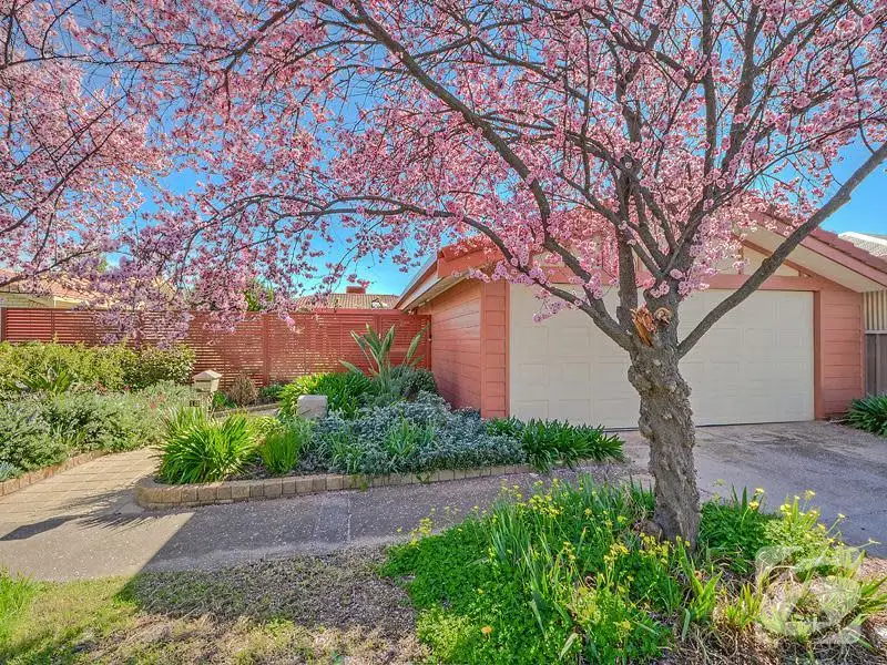 Main view of Homely house listing, 13 Donaldson Drive, Paradise SA 5075