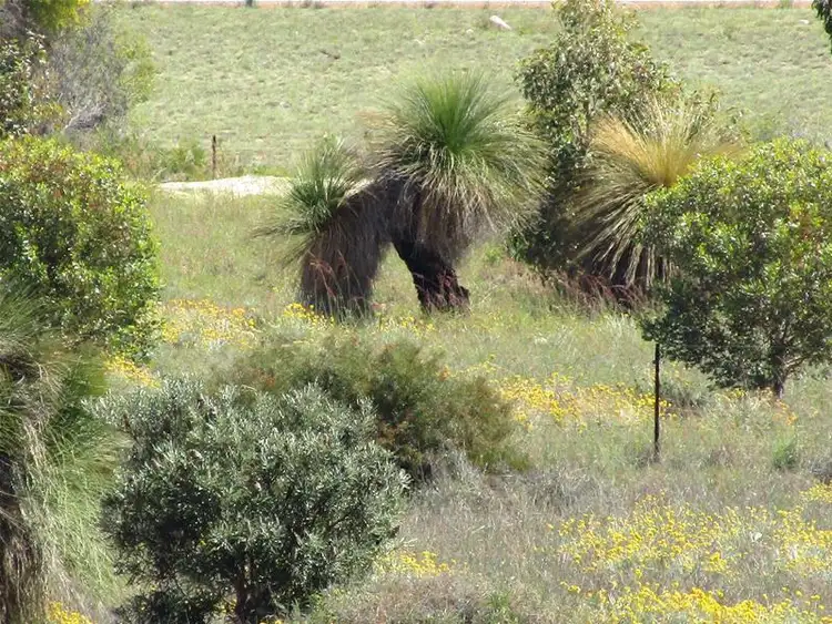 Second view of Homely land listing, LOT 265/265 (L265) Zendora Road, Jurien Bay WA 6516