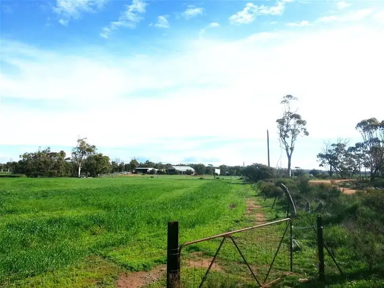 Fifth view of Homely house listing, L75,76,77,78,79/46 Bothe Street, Coorow WA 6515
