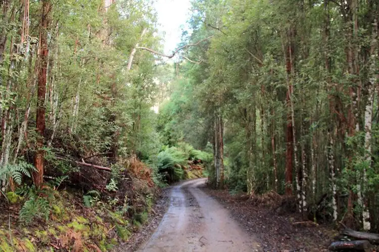 Third view of Homely land listing, 151 Lloyds Road, Franklin TAS 7113