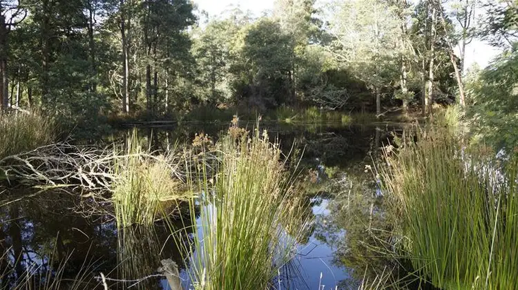 Sixth view of Homely land listing, 33 Cherry Grove, Dover TAS 7117