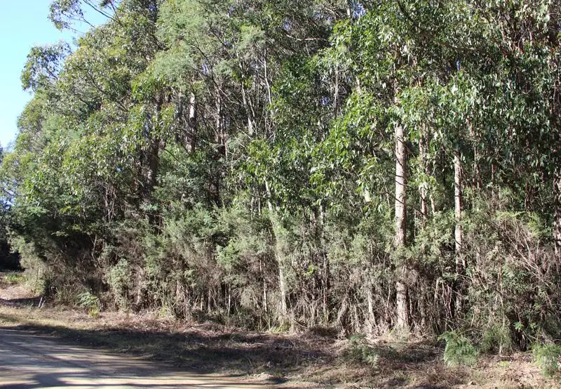 Main view of Homely land listing, Huon Highway, Strathblane TAS 7109