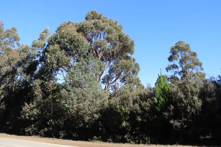 Third view of Homely land listing, Huon Highway, Strathblane TAS 7109