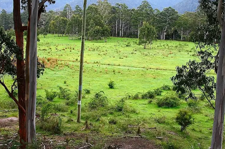 Third view of Homely land listing, 1077 Lonnavale Road, Lonnavale TAS 7109