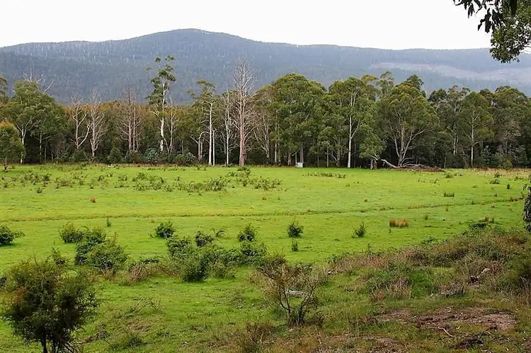 Sixth view of Homely land listing, 1077 Lonnavale Road, Lonnavale TAS 7109