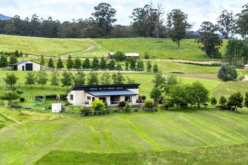 Main view of Homely house listing, 1017 Nicholls Rivulet Road, Nicholls Rivulet TAS 7112