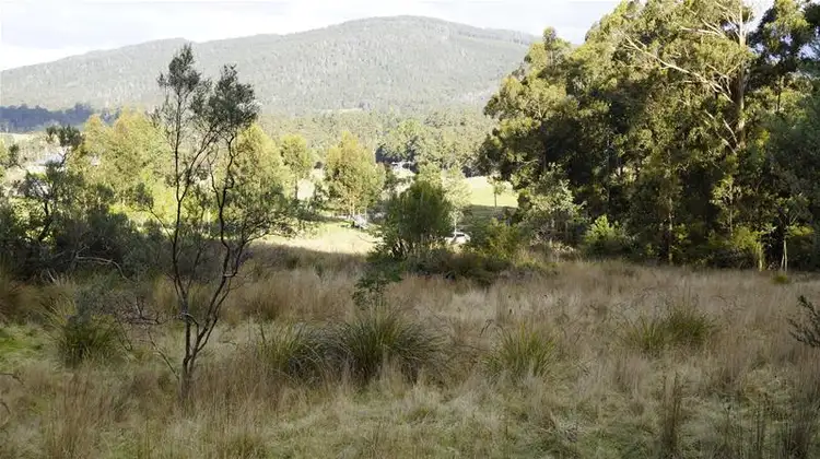 Fifth view of Homely land listing, 1 Andrewartha Road, Raminea TAS 7109