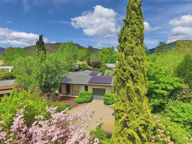 6 Halinka Court, Bright VIC 3741