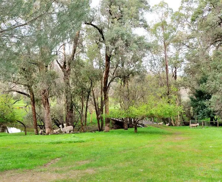 Seventh view of Homely house listing, 1091 Reen Road, Gidgegannup WA 6083