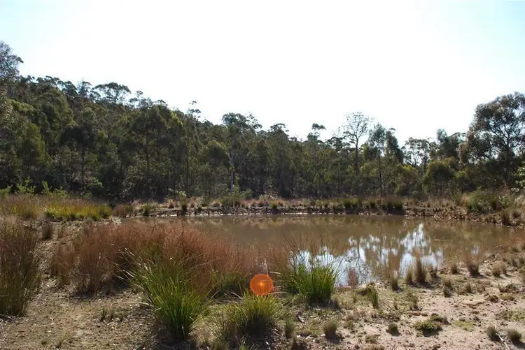 Fifth view of Homely land listing, Woodsdale Road, Levendale TAS 7120