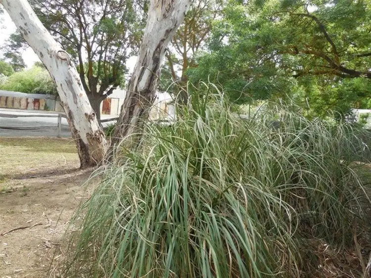 Sixth view of Homely house listing, 2 Saleyard Road, Mount Pleasant SA 5235