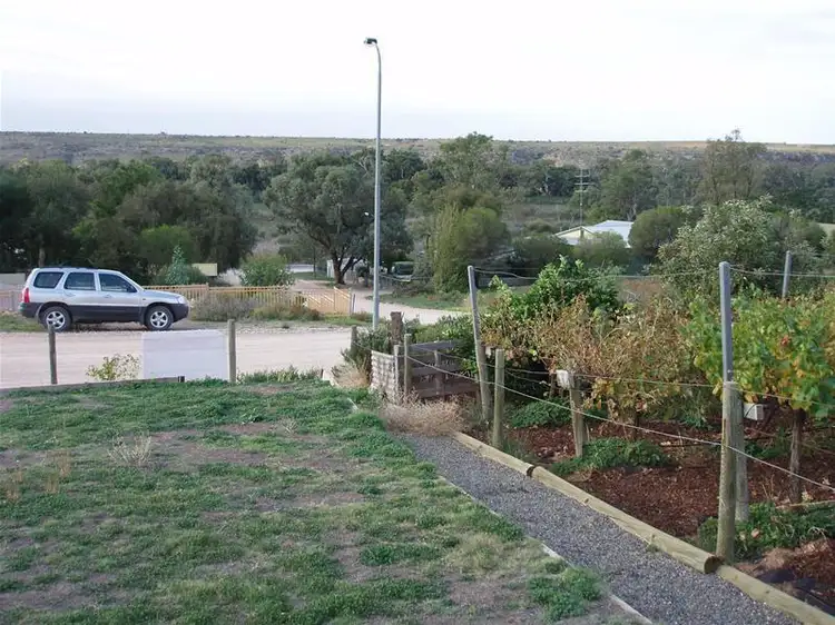 Second view of Homely house listing, 59 Tom Groggin Drive, Younghusband SA 5238