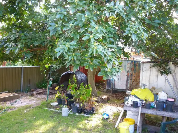 Seventh view of Homely house listing, 25 Iluka Street, Broulee NSW 2537