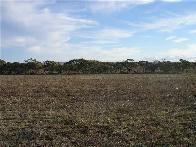 Sixth view of Homely land listing, 86 Ibis Drive 'Sunset Rise Estate', Mannum SA 5238