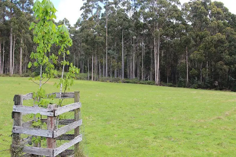 Main view of Homely land listing, 8692 Huon Highway, Southport TAS 7109