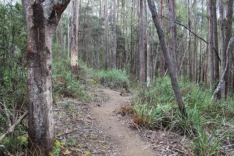 Third view of Homely land listing, 8692 Huon Highway, Southport TAS 7109
