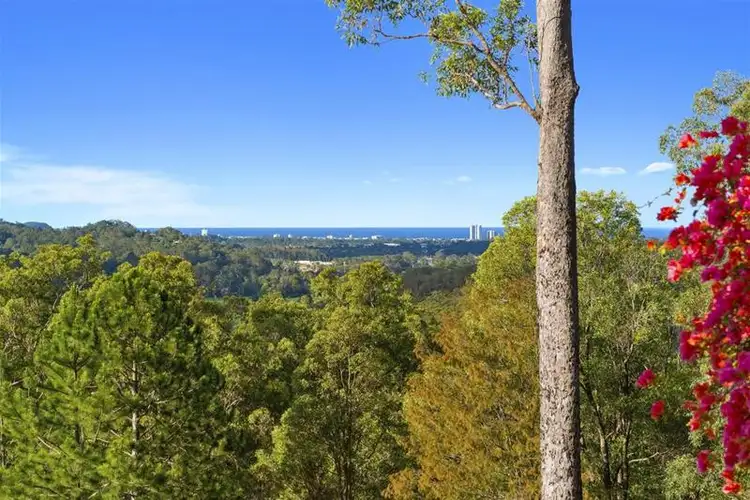 294 Piggabeen Road, Currumbin Valley QLD 4223