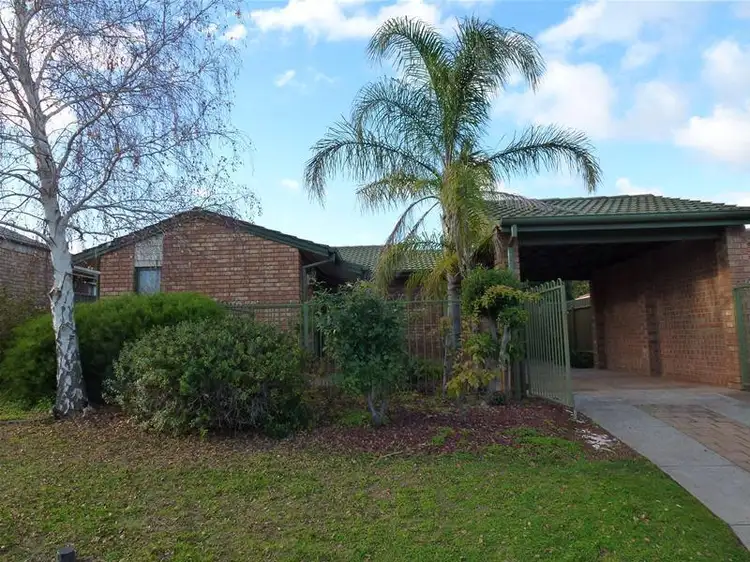 18 Glenlivet Court, Greenwith SA 5125