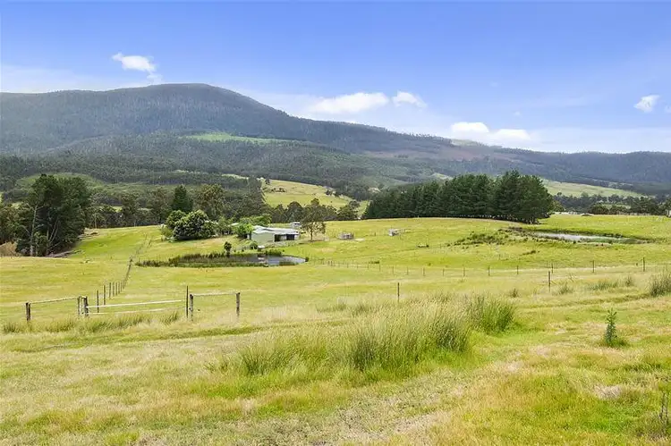 393 She Oak Road, Judbury TAS 7109
