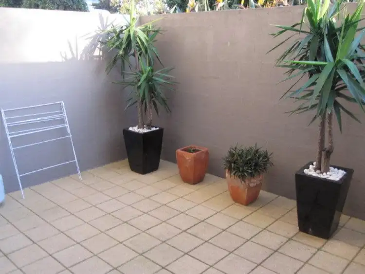 Fourth view of Homely apartment listing, 30 Gadigal Avenue, Zetland NSW 2017