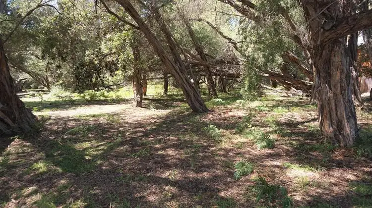 Second view of Homely land listing, 36 Kookaburra Street, Loch Sport VIC 3851