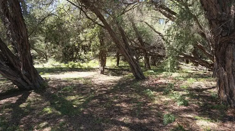 Third view of Homely land listing, 36 Kookaburra Street, Loch Sport VIC 3851