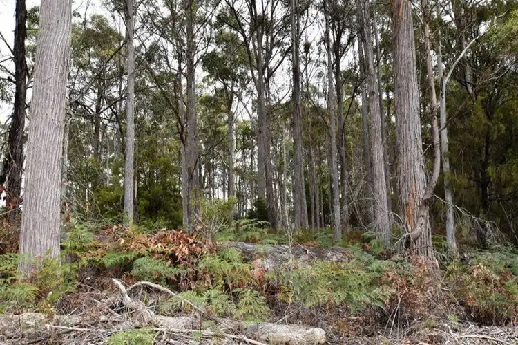 Second view of Homely land listing, 324 Quamby Brook Road, Deloraine TAS 7304