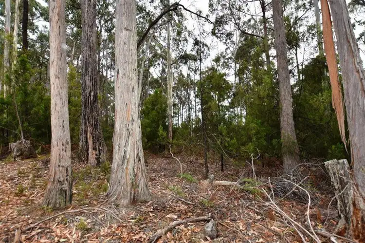 Third view of Homely land listing, 324 Quamby Brook Road, Deloraine TAS 7304