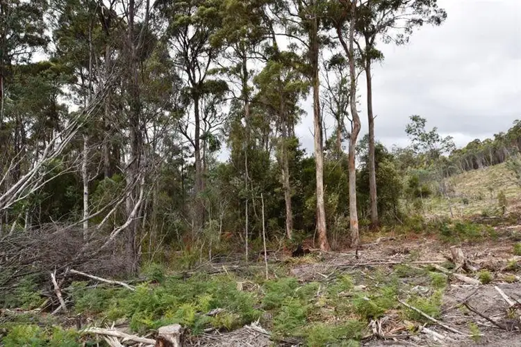 Fourth view of Homely land listing, 324 Quamby Brook Road, Deloraine TAS 7304