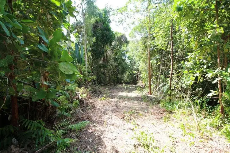 Third view of Homely land listing, LOT 88/Lot 88 Tully-Hull Road, Tully Heads QLD 4854