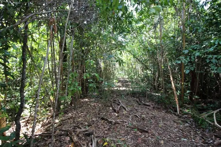 Fifth view of Homely land listing, LOT 88/Lot 88 Tully-Hull Road, Tully Heads QLD 4854
