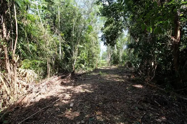 Sixth view of Homely land listing, LOT 88/Lot 88 Tully-Hull Road, Tully Heads QLD 4854