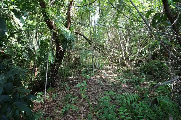 Seventh view of Homely land listing, LOT 88/Lot 88 Tully-Hull Road, Tully Heads QLD 4854