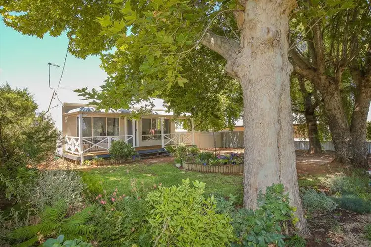Main view of Homely house listing, 8 Churchill Street, Buronga NSW 2739