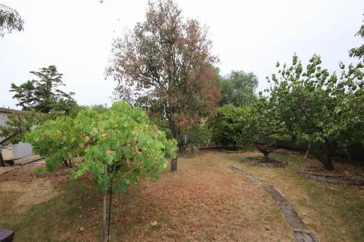 Fourth view of Homely house listing, 22 Elizabeth Street, Mannum SA 5238