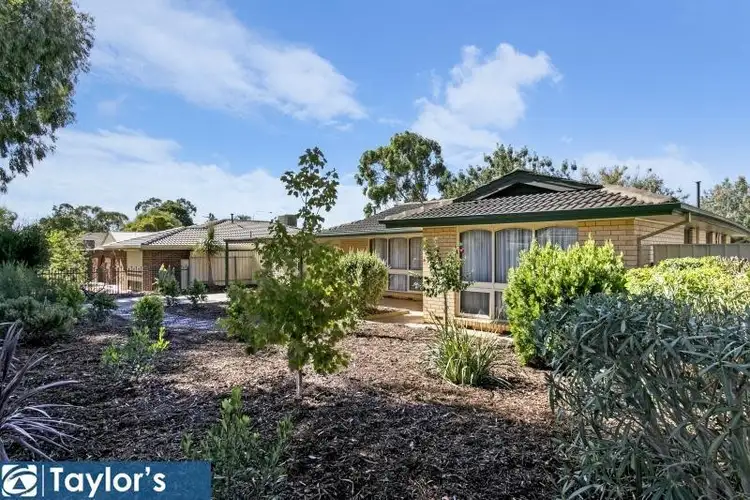 Second view of Homely house listing, 14 Radiata Grove, Salisbury Heights SA 5109