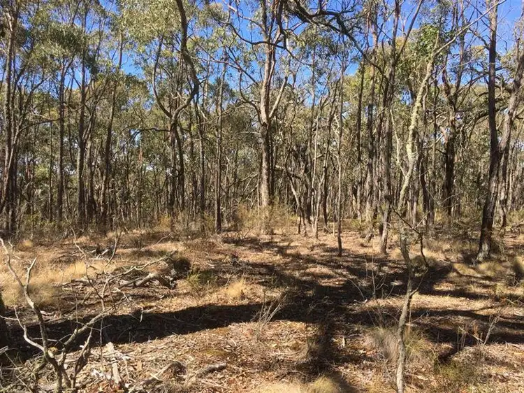 Seventh view of Homely rural property listing, 7 Old Shirley Road, Beaufort VIC 3373