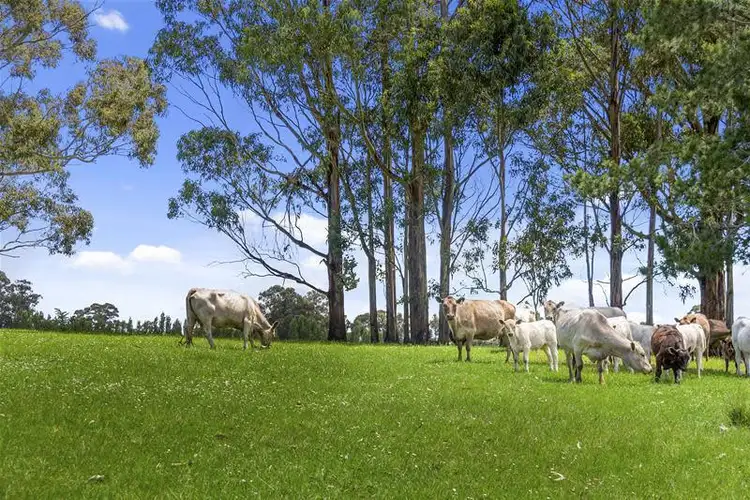 Fifth view of Homely land listing, 3 Flakemore Road, Franklin TAS 7113