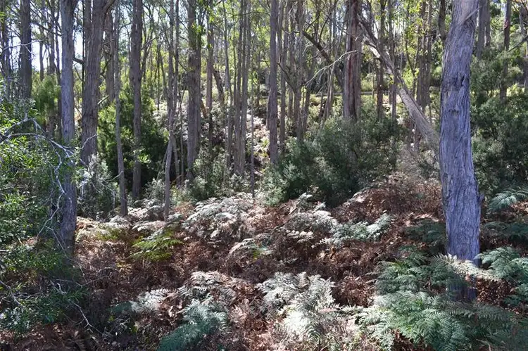 Main view of Homely land listing, 125573/1 Channel Highway, Cradoc TAS 7109