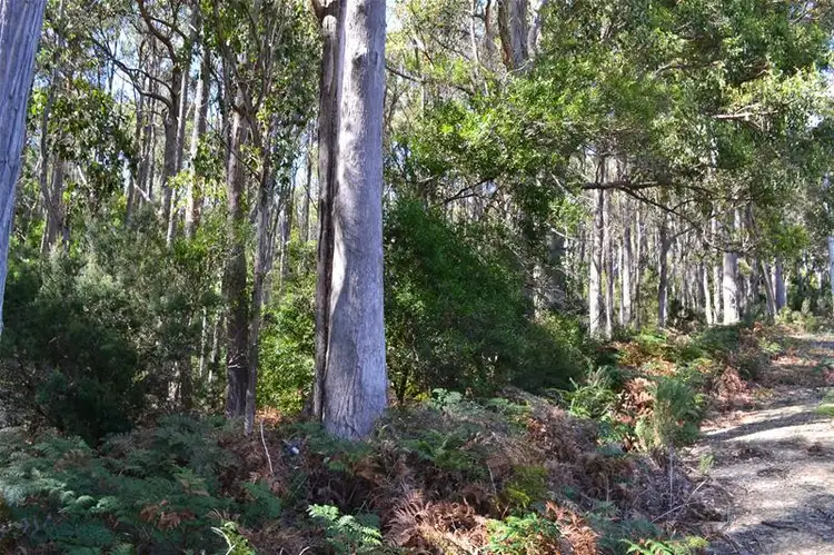 Second view of Homely land listing, 125573/1 Channel Highway, Cradoc TAS 7109