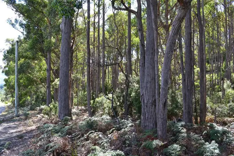 Fourth view of Homely land listing, 125573/1 Channel Highway, Cradoc TAS 7109