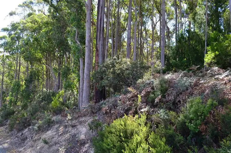 Fifth view of Homely land listing, 125573/1 Channel Highway, Cradoc TAS 7109