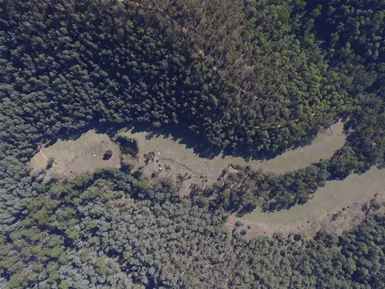 Third view of Homely land listing, CA 5B & 6 Mongrel Creek Track, Wandiligong VIC 3744