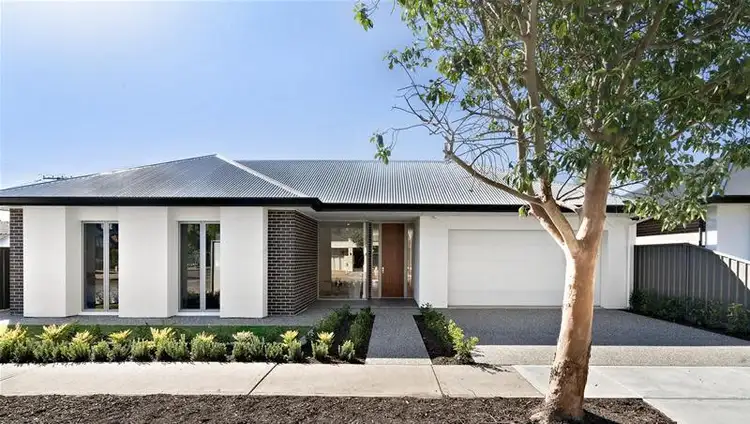 117 Harding Street, Somerton Park SA 5044