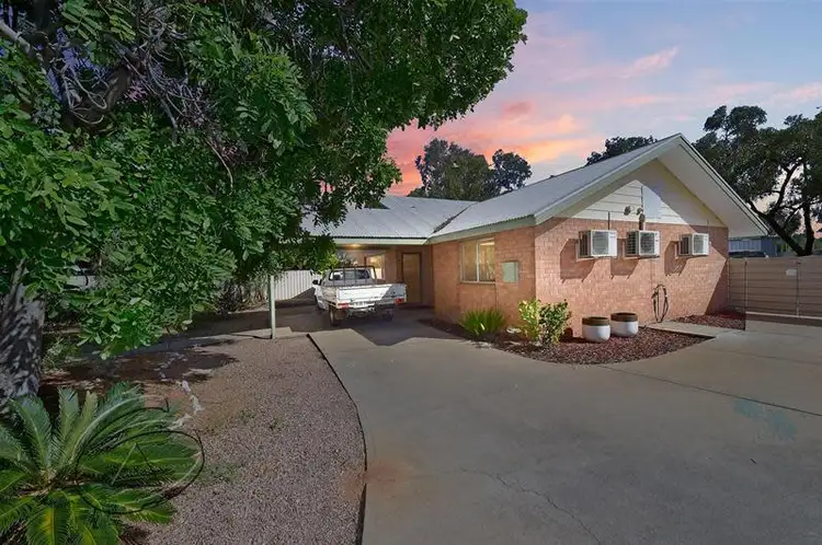17 Ptilotus Street, Sadadeen NT 870