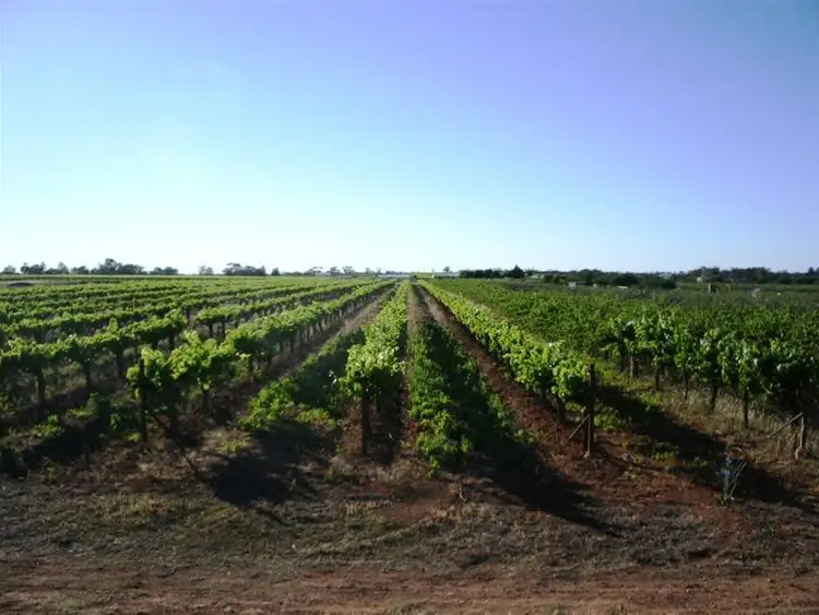 Lot 2/ Etiwanda Avenue, Mildura VIC 3500