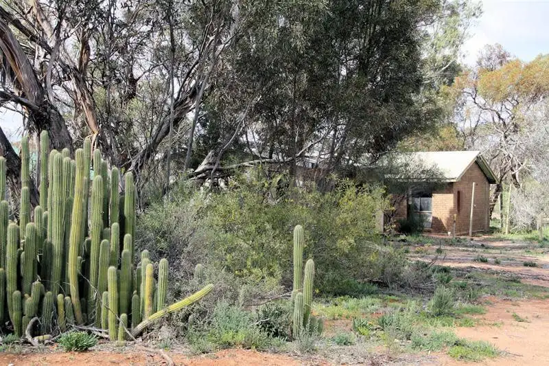 Main view of Homely house listing, 1 Reserve Road, Red Cliffs VIC 3496