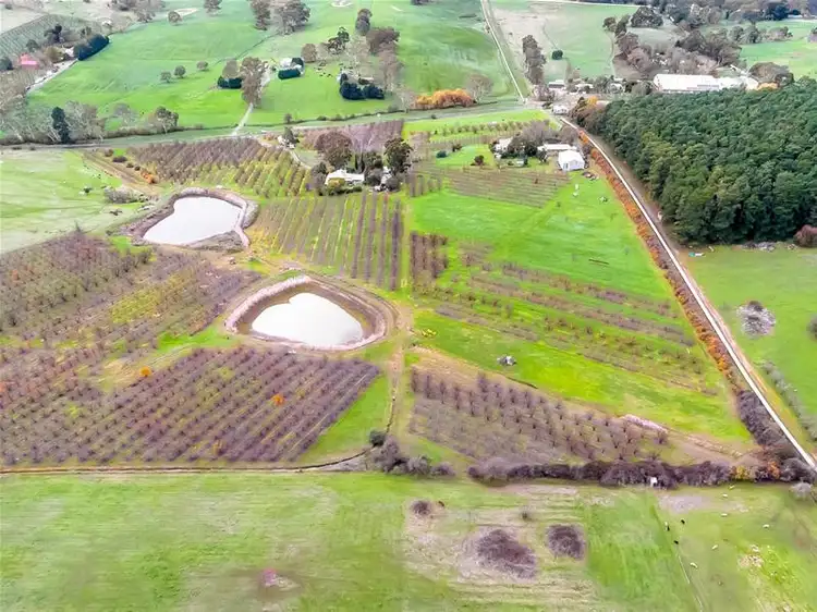 Sixth view of Homely house listing, 561A Paracombe Road, Paracombe SA 5132